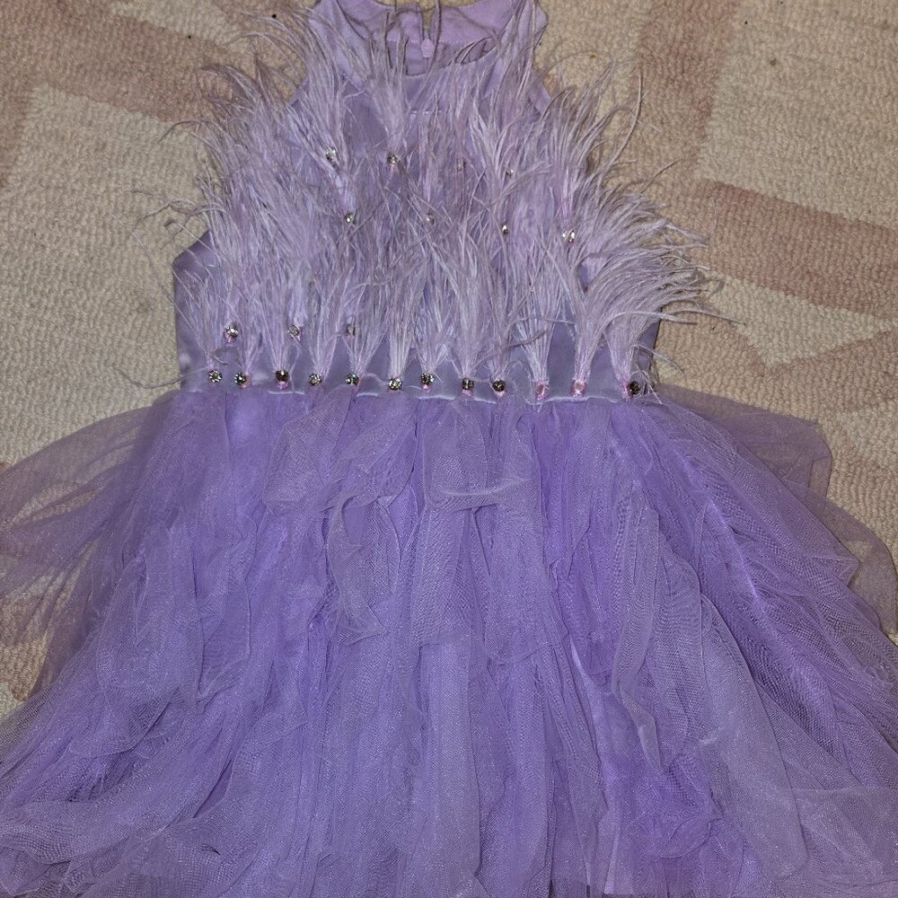 Girls purple feather and sequin dreas